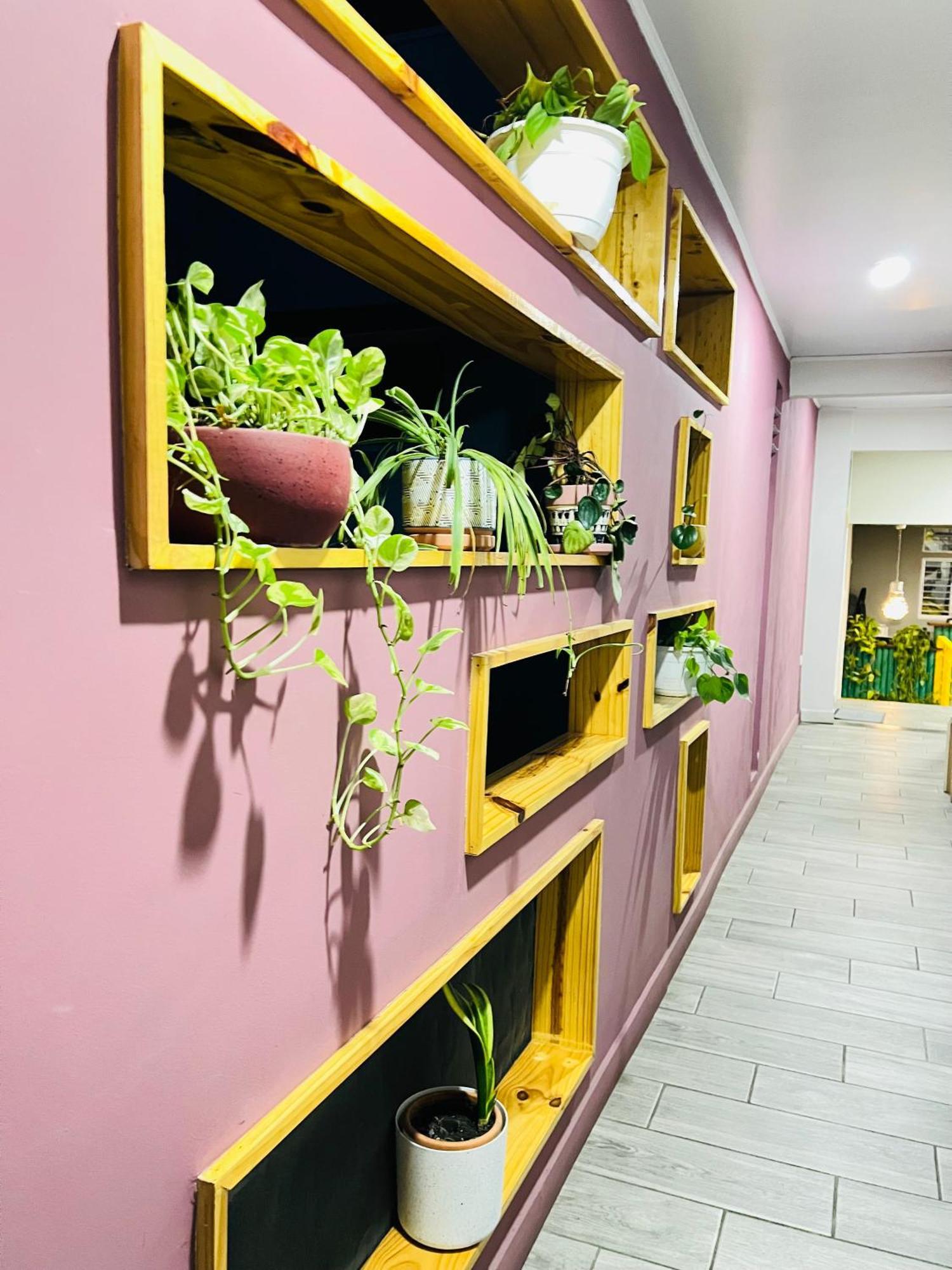 Otoya 1907 Hotel (Adults Only) San José Dış mekan fotoğraf